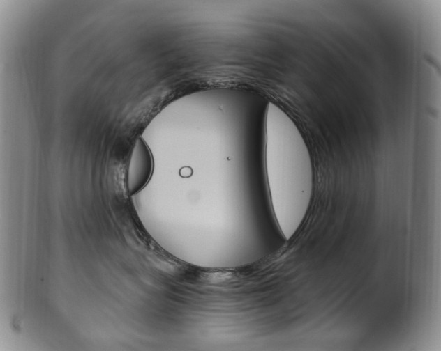 X0000101650575200807100943
