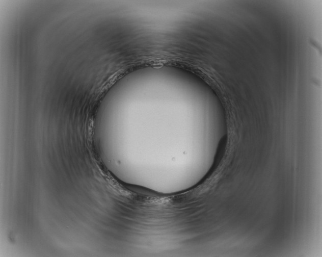 X0000101650576200807100943