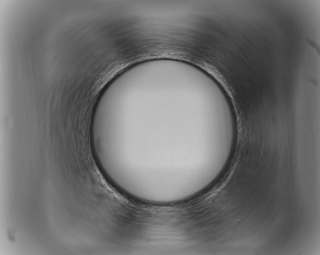 X0000101650577200807100942