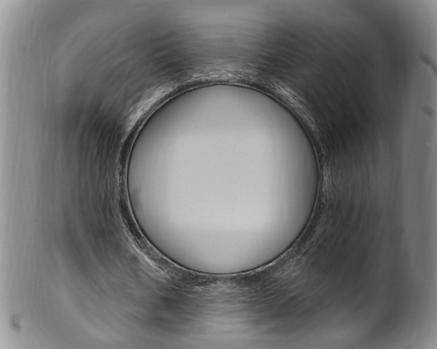 X0000101650578200807100942