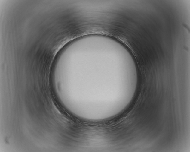 X0000101650579200807100942