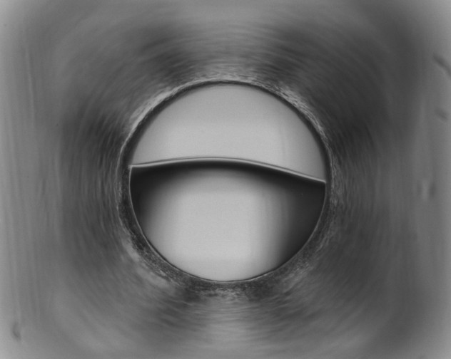 X0000101650580200807100942