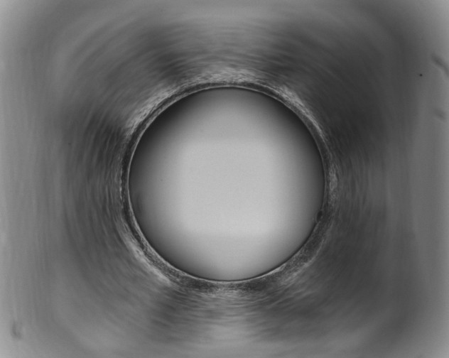 X0000101650581200807100942