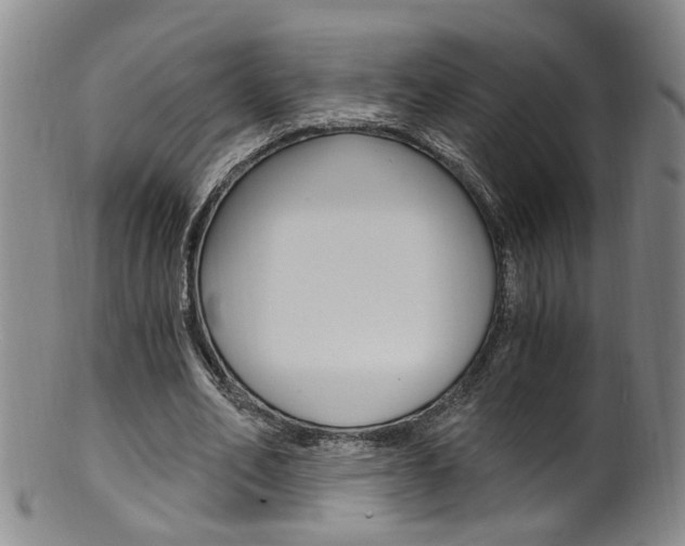 X0000101650582200807100942