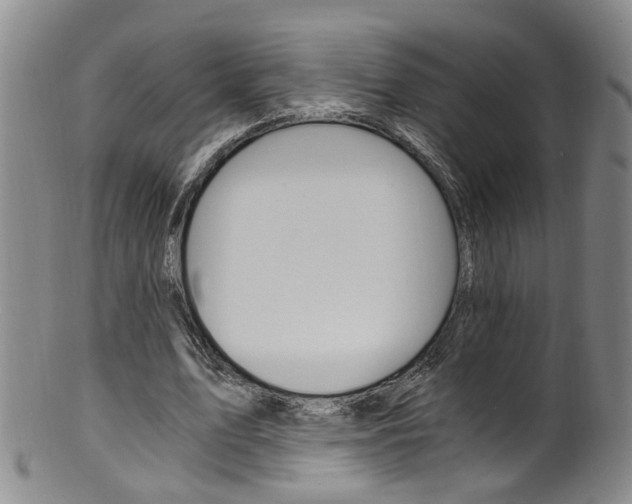 X0000101650583200807100942