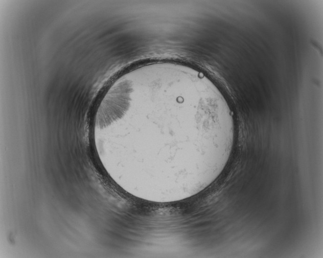 X0000101650584200807100942