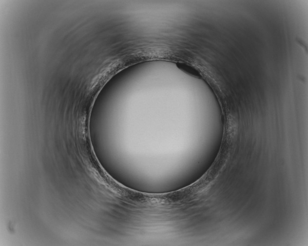 X0000101650585200807100942