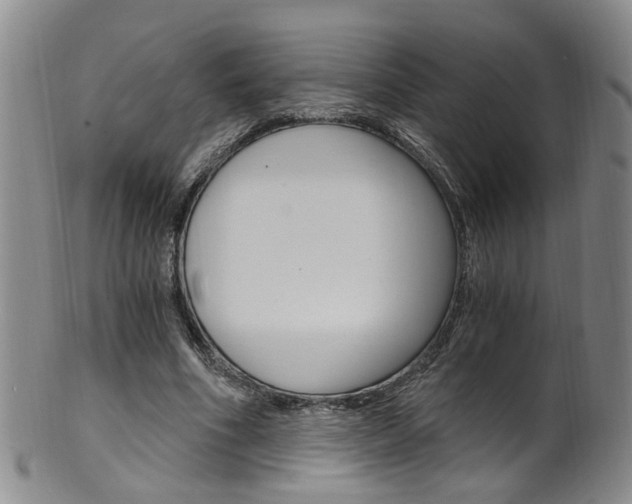 X0000101650586200807100942