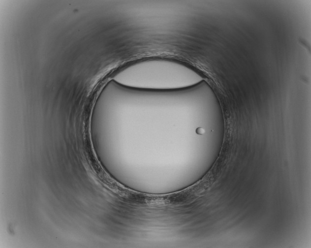 X0000101650587200807100942