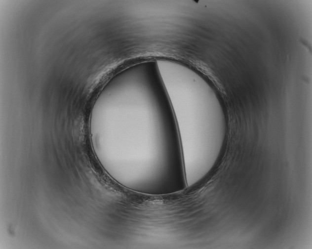 X0000101650588200807100942