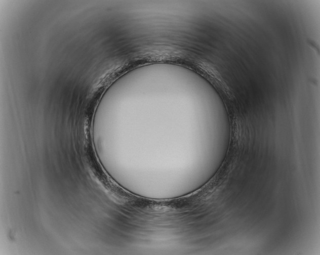 X0000101650590200807100942