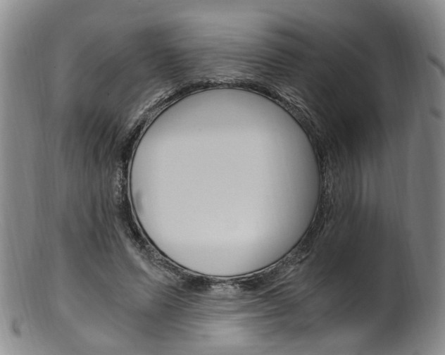 X0000101650591200807100942