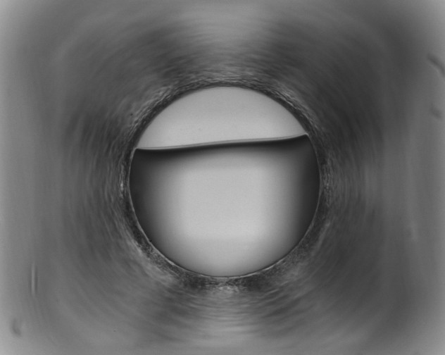 X0000101650593200807100942