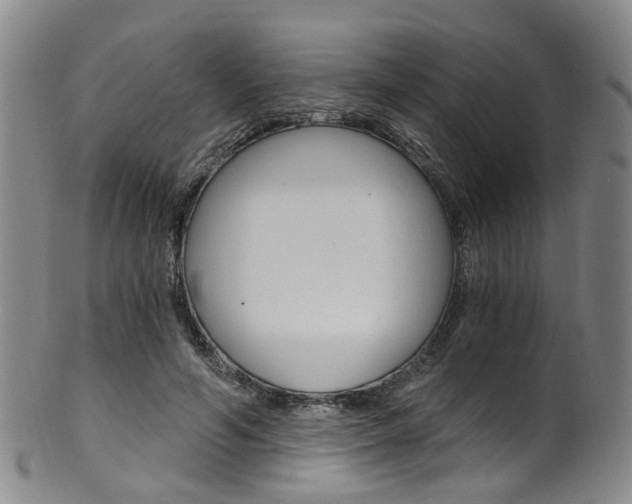X0000101650594200807100942