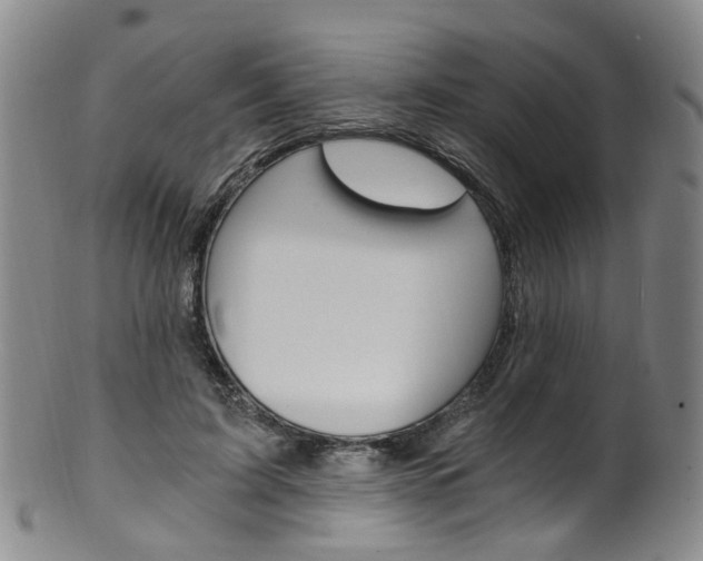 X0000101650595200807100942
