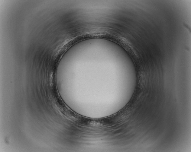 X0000101650596200807100942