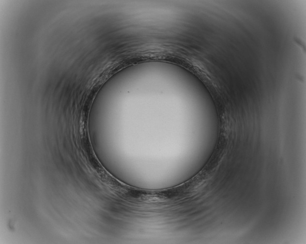 X0000101650597200807100942
