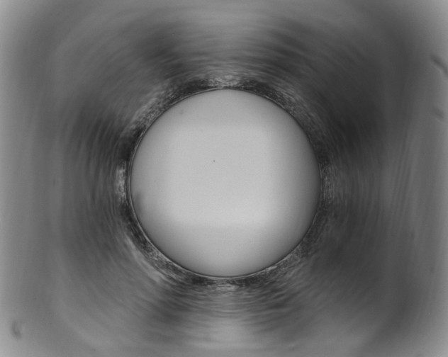 X0000101650598200807100942