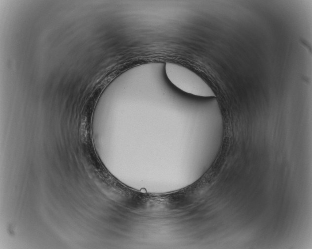 X0000101650599200807100942