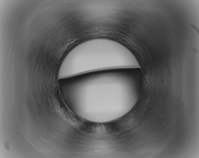 X0000101650600200807100942