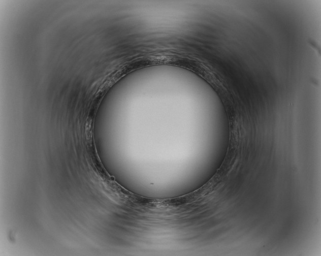 X0000101650601200807100942