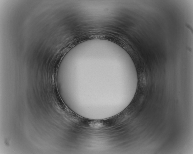 X0000101650602200807100942