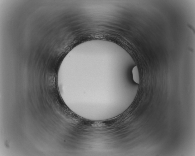 X0000101650603200807100942
