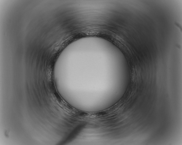 X0000101650604200807100942
