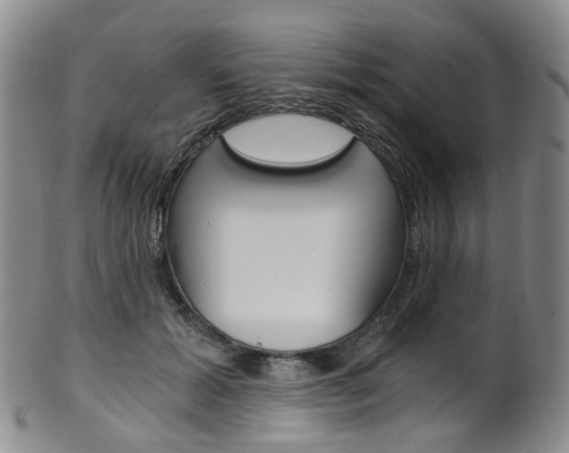 X0000101650605200807100942