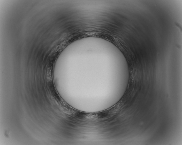 X0000101650606200807100942
