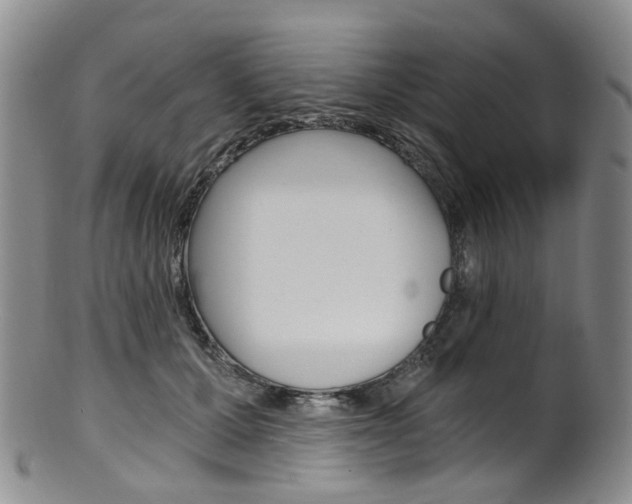 X0000101650607200807100942