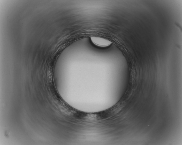 X0000101650609200807100942