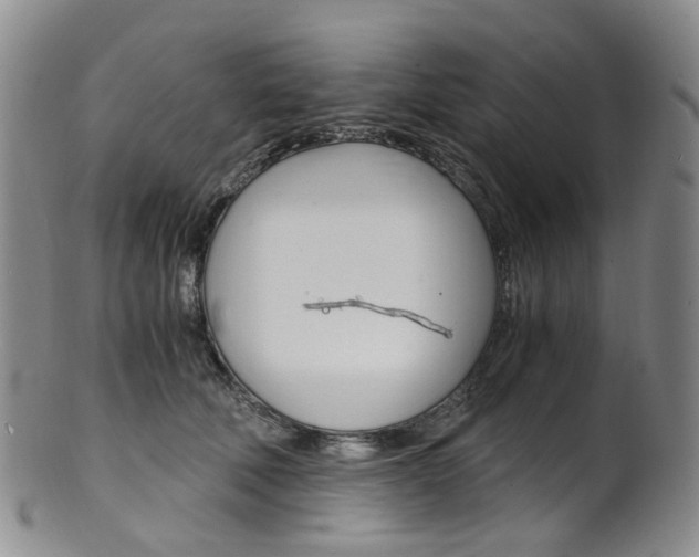 X0000101650610200807100942