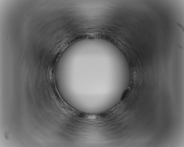 X0000101650611200807100942
