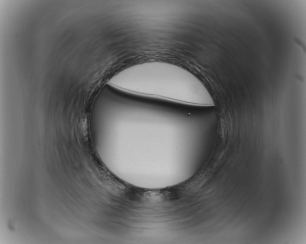 X0000101650613200807100942