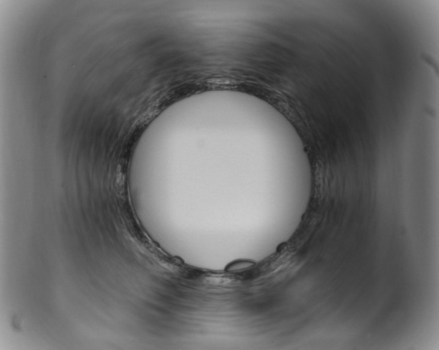 X0000101650614200807100942