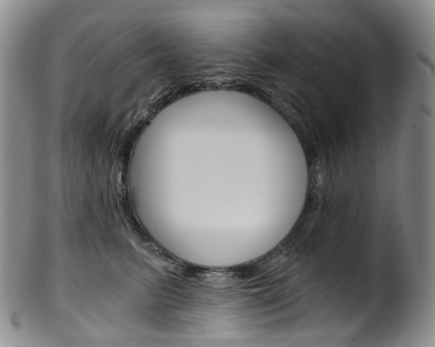 X0000101650615200807100942