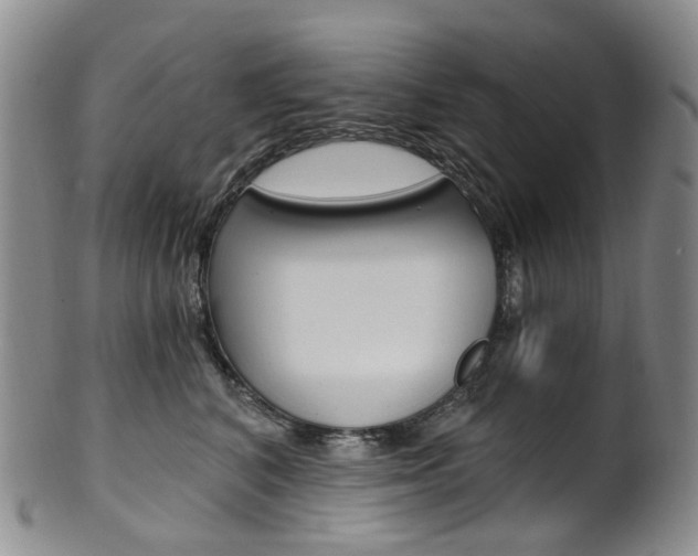X0000101650616200807100942