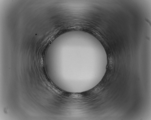 X0000101650617200807100942