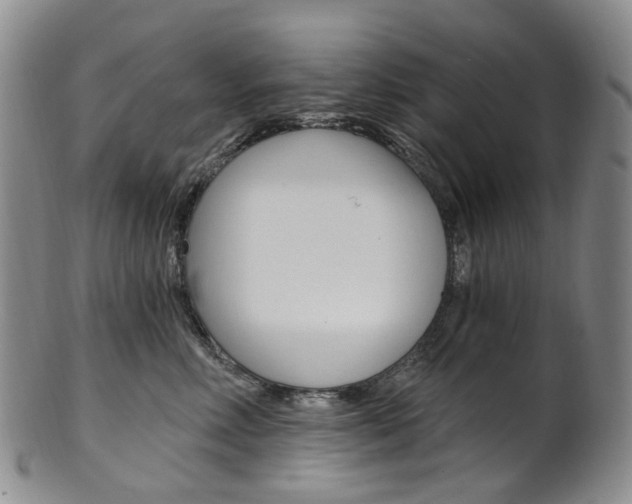 X0000101650618200807100942