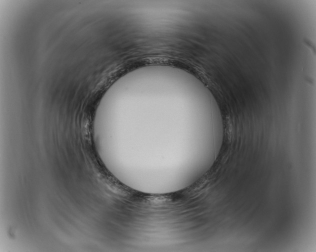 X0000101650619200807100942