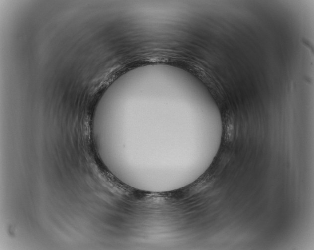 X0000101650620200807100941