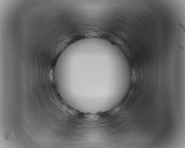 X0000101650621200807100941