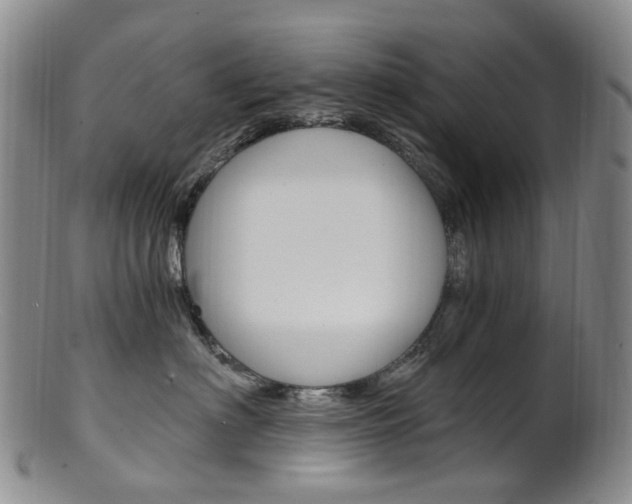 X0000101650622200807100941