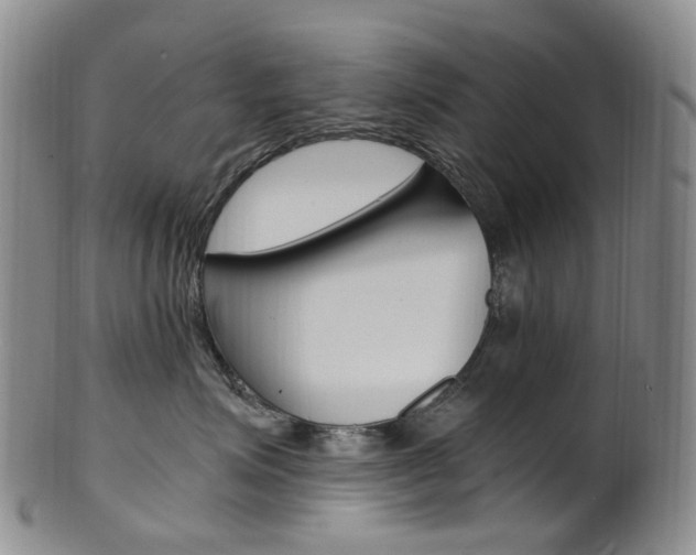X0000101650623200807100941