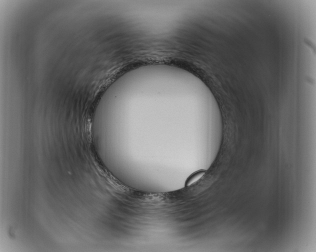 X0000101650624200807100941