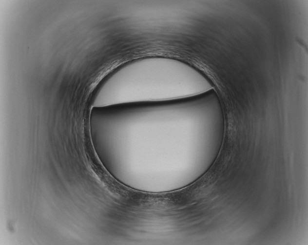 X0000101650626200807100941