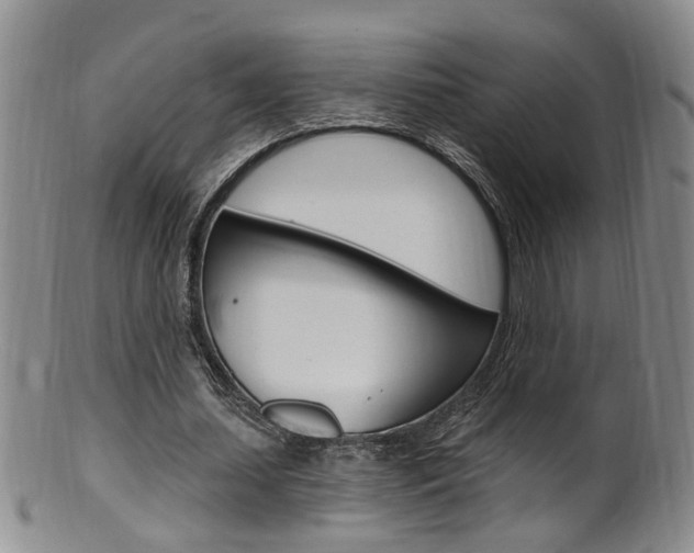 X0000101650627200807100941