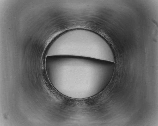 X0000101650628200807100941