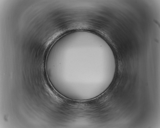X0000101650629200807100941